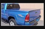 2005_taco_blue_wing.jpg