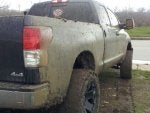 mud back.JPG